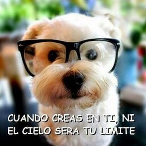 Meet your Posher, Maricela